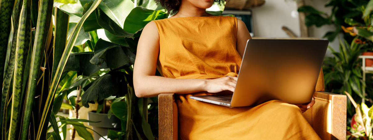 Luchtzuiverende kamerplanten | Groencentrum Brugge, Ieper en Nevele Luchtzuiverende kamerplanten | Groencentrum Brugge, Ieper en Nevele