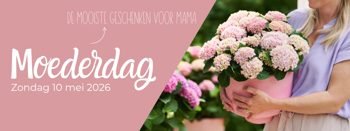 Moederdag bij Groencentrum!