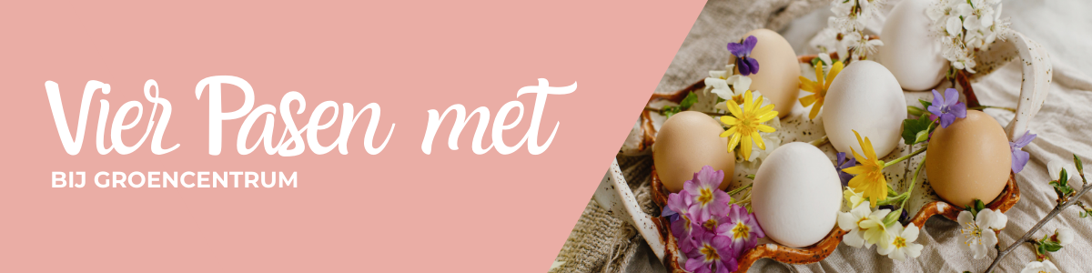 Kom paasshoppen bij Groencentrum!