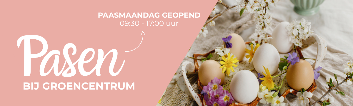 Kom paasshoppen bij Groencentrum!