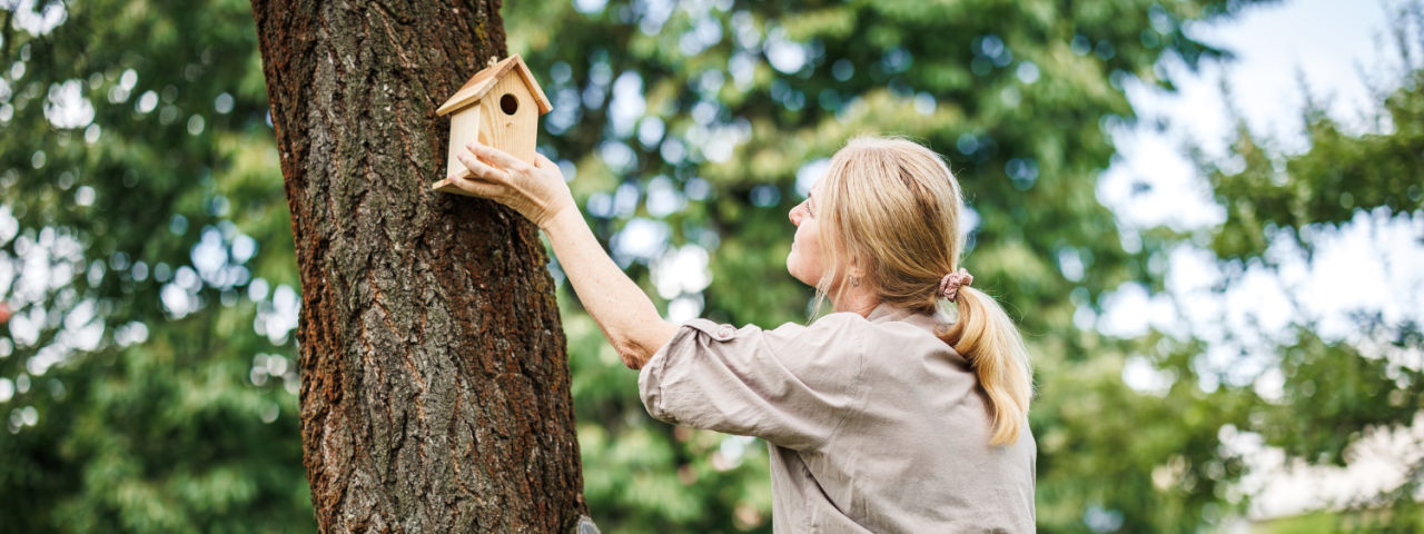 Vogels naar uw tuin lokken? Groencentrum heeft de tips!
