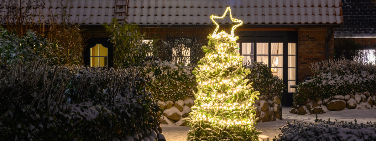 Kerstlampjes kopen bij Groencentrum! Kerstlampjes kopen bij Groencentrum!