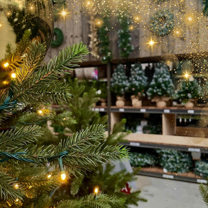 Kerst viert u met Groencentrum! Kerst viert u met Groencentrum!