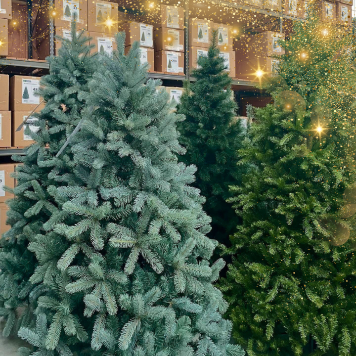 Kerst viert u met Groencentrum! Kerst viert u met Groencentrum!