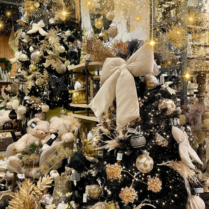 Kerst viert u met Groencentrum! Kerst viert u met Groencentrum!