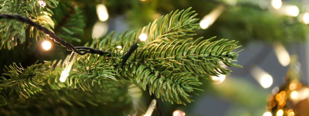 Kunstkerstboom kopen bij Groencentrum! Kunstkerstboom kopen bij Groencentrum!