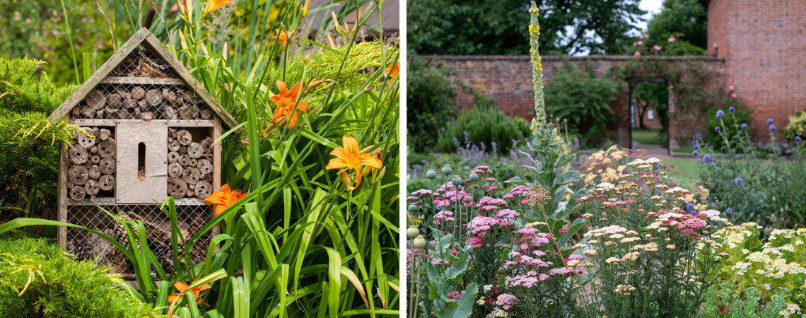 Tips voor Biodiversiteit in de tuin Groencentrum Brugge en Ieper