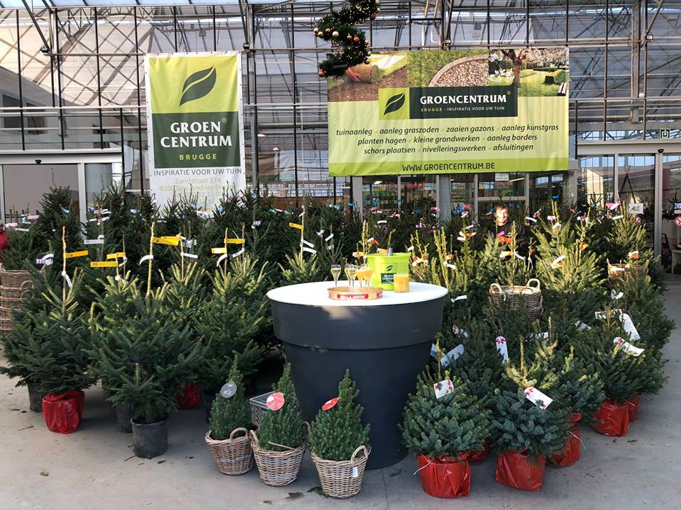 Mooie kerstbomen Sint-Kruis