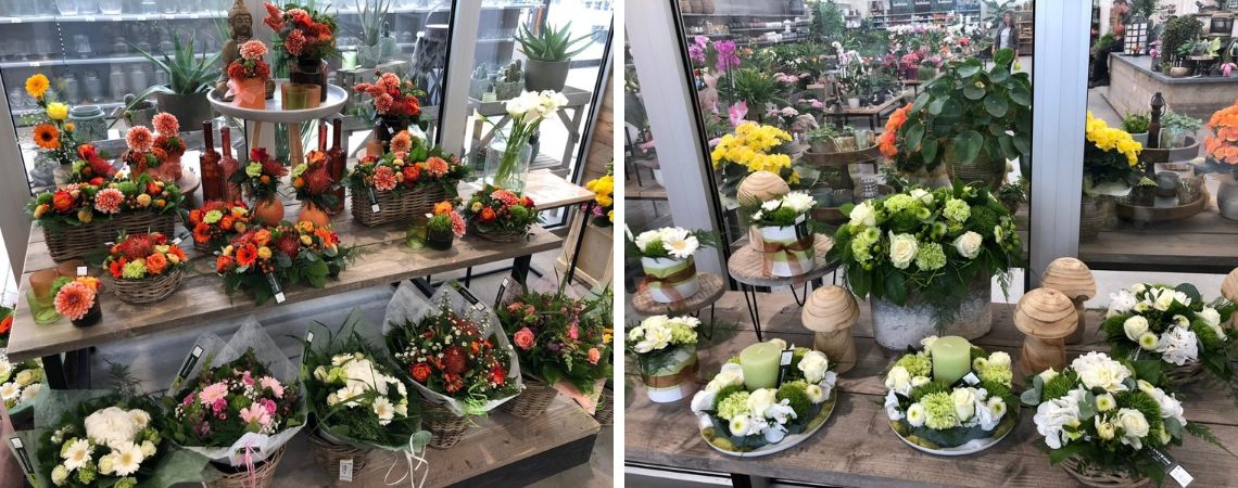 Bloemen koopt u bij Groencentrum in Brugge en Ieper