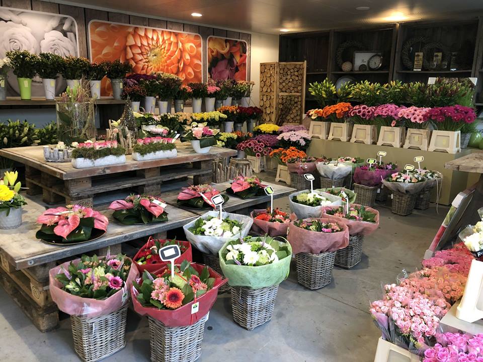 Ruim assortiment bij bloemenwinkel Jabbeke