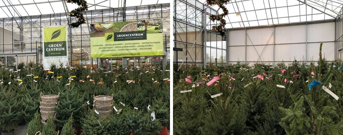 Kerstbomen kopen bij Groencentrum in Brugge en Ieper