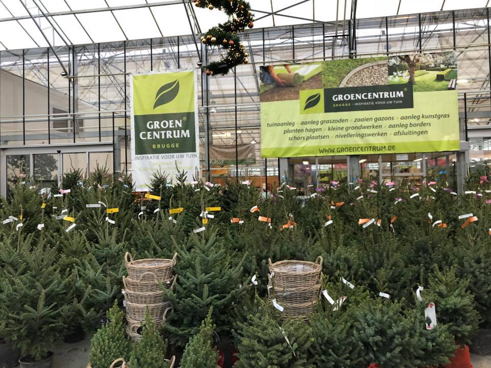 Kerstbomen op kerstmarkt De Haan