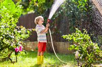 De ultieme gids voor het bewateren van planten deze zomer