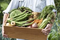 Een duurzame moestuin in een paar stappen