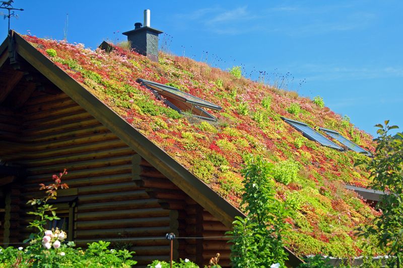 Een groen dak 5 stappen - Groencentrum - Inspiratie voor uw tuin