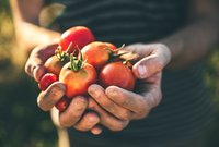 Het moestuinseizoen gaat weer van start