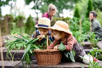 Moestuin tips voor de maand mei