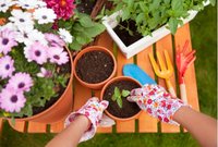 Tuintips maart