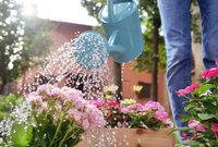 Vijf tips voor het bewateren van de tuin deze zomer