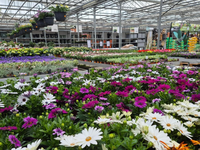 Groencentrum de Korenbloem