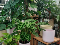 Groencentrum de Korenbloem