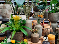 Groencentrum de Korenbloem