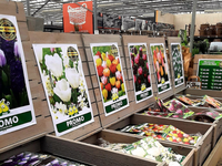 Groencentrum de Korenbloem