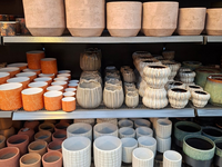 Groencentrum de Korenbloem