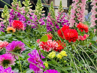 Groencentrum de Korenbloem