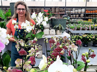 Groencentrum de Korenbloem