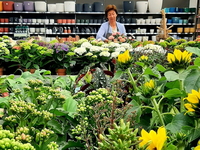 Groencentrum de Korenbloem