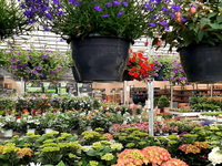 Groencentrum de Korenbloem