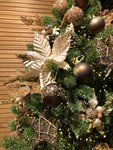Kerstshow