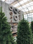 Kerstshow