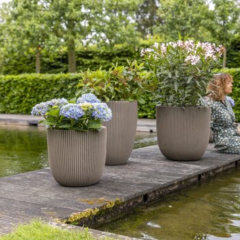 Buitenpot kopen bij Groencentrum Brugge, Ieper & Nevele
