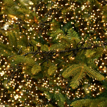 Kerstverlichting en kerstversiering | Groencentrum