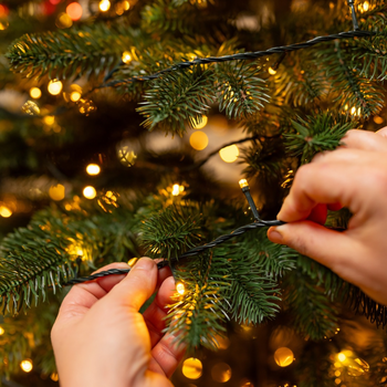 Kerstverlichting en kerstversiering | Groencentrum
